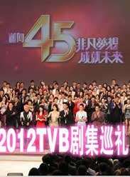 2012TVB缯Ѳ