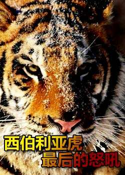 DiscoveryѰ:ǻŭѸ