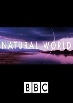 BBCȻصıѸ