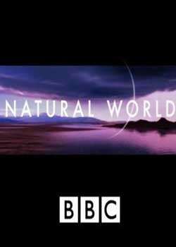 BBC.Ȼ.Ȼʱ: