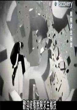X(3)
