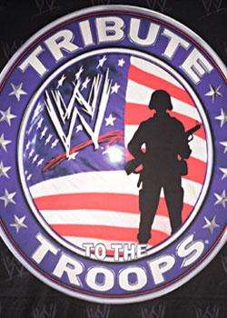 WWETributeToTheTroops2010Ѹ