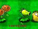 植物大战僵尸剧情版—坚果变成了僵尸