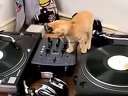 ɰСèDJ߹ۿ