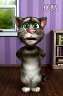 Talking Tom߹ۿ
