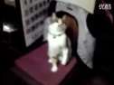 إåϥƥ?.mp4߹ۿ