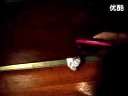 我们家招财 可爱猫咪