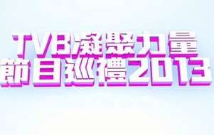 TVB2013ĿѲ