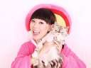 超萌抱猫妹妹洗脑喵歌