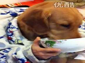 狗模人样“面也太咸啦”