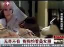 无奇不有 狗狗怕看美女照