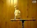 @BҲ̫high˰߹ۿ