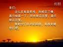 史上最雷人的光棍节视频