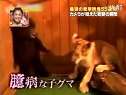 (搞笑)让你瞬间笑喷的小熊闪亮登场