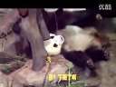 大熊猫也不都天真无邪