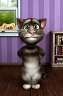 会说话的汤姆猫2隐藏动作