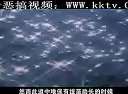 老湿新作恶搞吐槽中国动漫