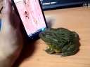 (Edwin)ţ!ַ!߹ۿ