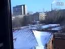 (藤缠楼)太不可思议了!乌鸦在屋顶玩单板滑雪