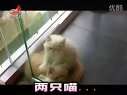家庭幽默录像 2012