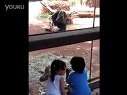 猩爷给北鼻的意外惊喜