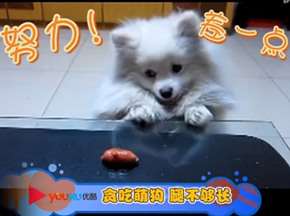 齐卖萌腿到用时方恨短