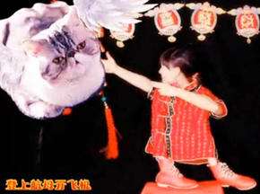 抱猫妹妹贺岁大串烧----竟然变身成“蛇”
