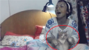 二货!放开那只喵星人