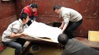 扁鹊医书惊现成都汉墓