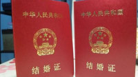 "勤俭"民政局印假结婚证