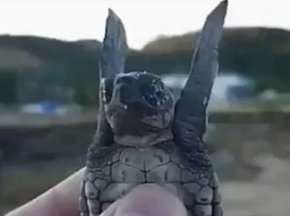 那些网络流传的搞笑图