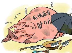 《上海滩》唱谈死猪事件