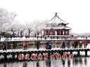 随机播放的天气伤不起
