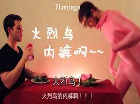 2B青年诠释动物咋进食