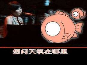 神曲唱谈上海死鱼事件