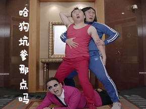 疯!大神翻译鸟叔新歌