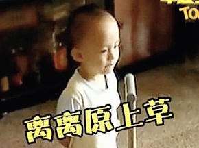 有才宝宝们童言神回复