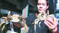 男子没钱过年狂偷1吨螃蟹