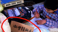 孩子菜场立牌"不要摸我头"