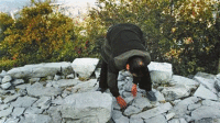 老人背石上山修路被叫停