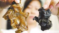 小伙为防霾连吃3天黑木耳