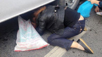 货车侧翻大闸蟹引民众疯抢