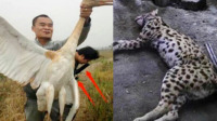 男子西藏猎杀白鹤拍照炫耀