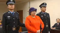 丁书苗一审判刑20年罚25亿