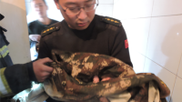 消防员徒手救坠厕女婴