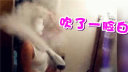 魂淡!还能不能愉快地玩耍了