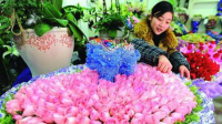 降雪致情人节玫瑰价格飙升