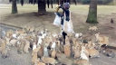 一大波吃货兔子正向你萌来