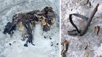 阿尔卑斯山现80具士兵遗体