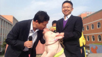 副校长兑现诺言亲吻小猪
